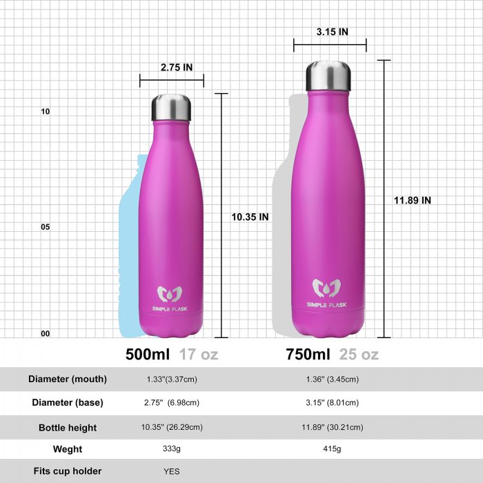 vacuum insulated stainless steel water bottle